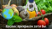 В космосе стали выращивать овощи (видео)