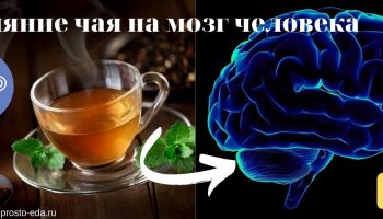 Влияние чая на мозг человека