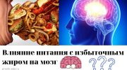 Влияние питания с избыточным жиром на мозг