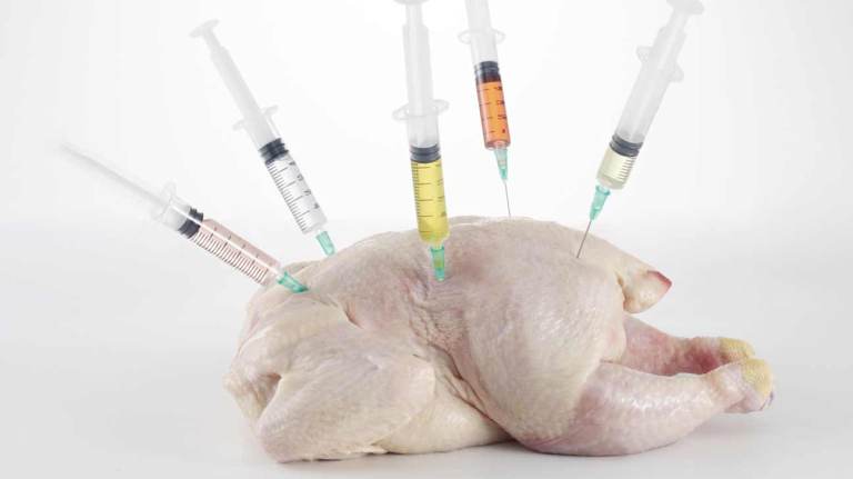 Курица с антибиотиками
