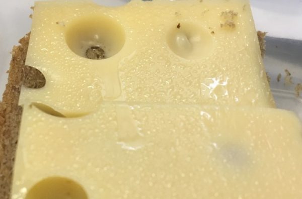 Настоящий сыр "потеет" влагой, а фальсификат - каплями жира. Фото novate