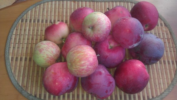 Яблочный джем со шкурками - сияющая, красивая, полезная вкуснота