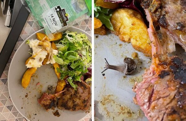 25 фото разных сюрпризов в еде - чаще неприятных и редко приятных